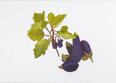 MVarnavsky - Aubergine3